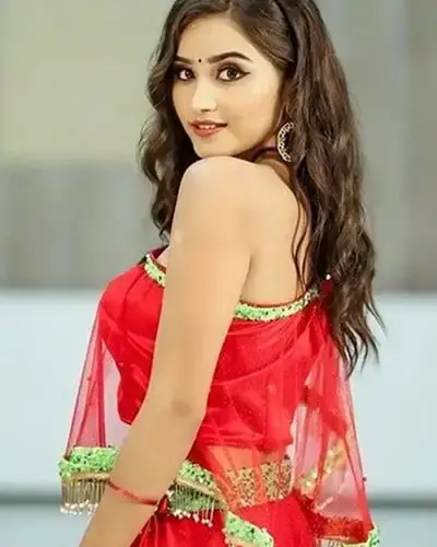 Escort In Mehesana